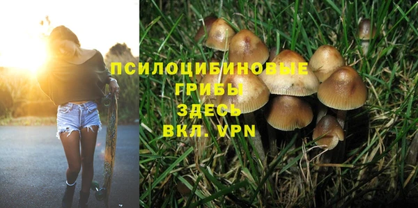 эйфоретик Верея