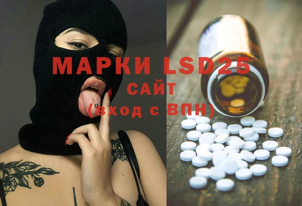 эйфоретик Верея