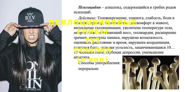 эйфоретик Верея