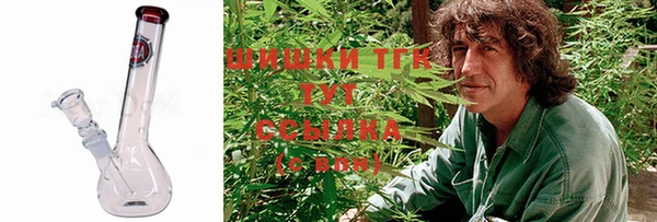 эйфоретик Верея