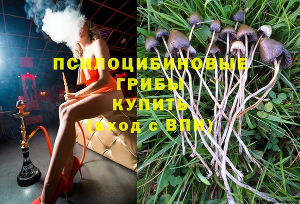 spice Саяногорск