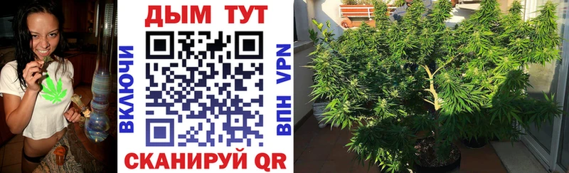 Каннабис LSD WEED  купить  сайты  блэк спрут ссылки  Певек 